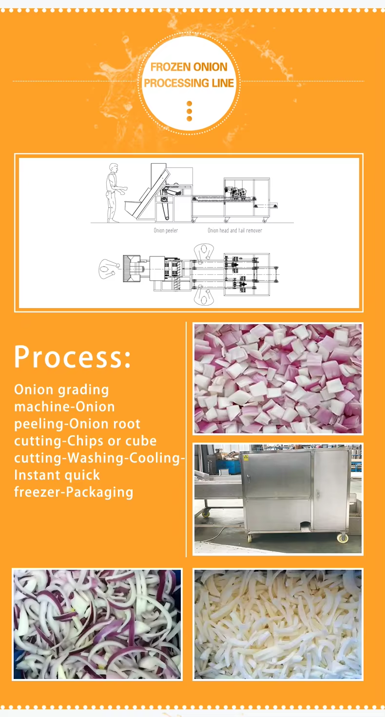 1725946675176 1725946675176