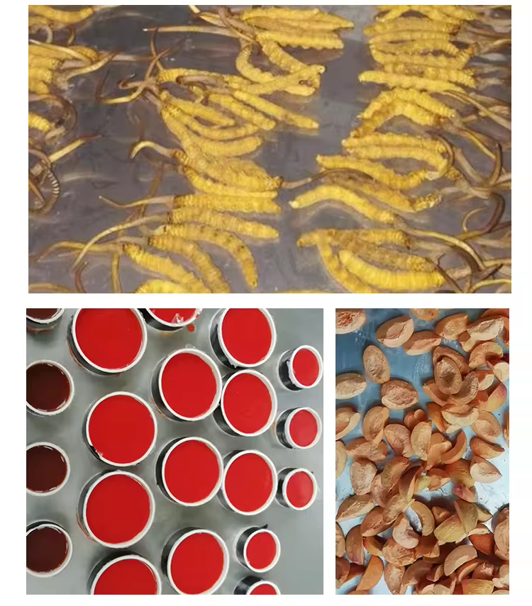 More freeze - dried samples Više zamrzavanjem osušenih uzoraka