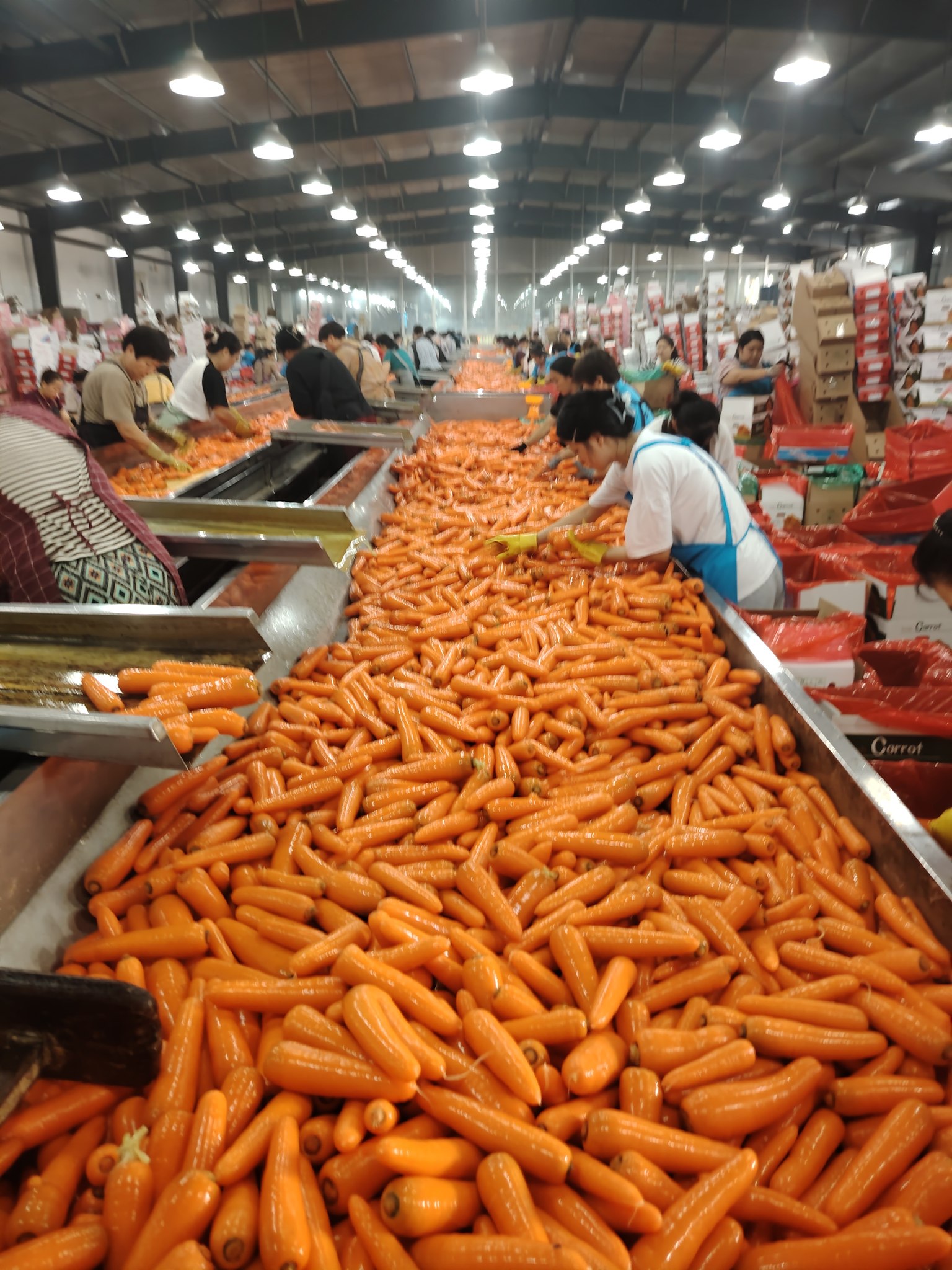 456245820_480825411394193_3900240548197722559_n