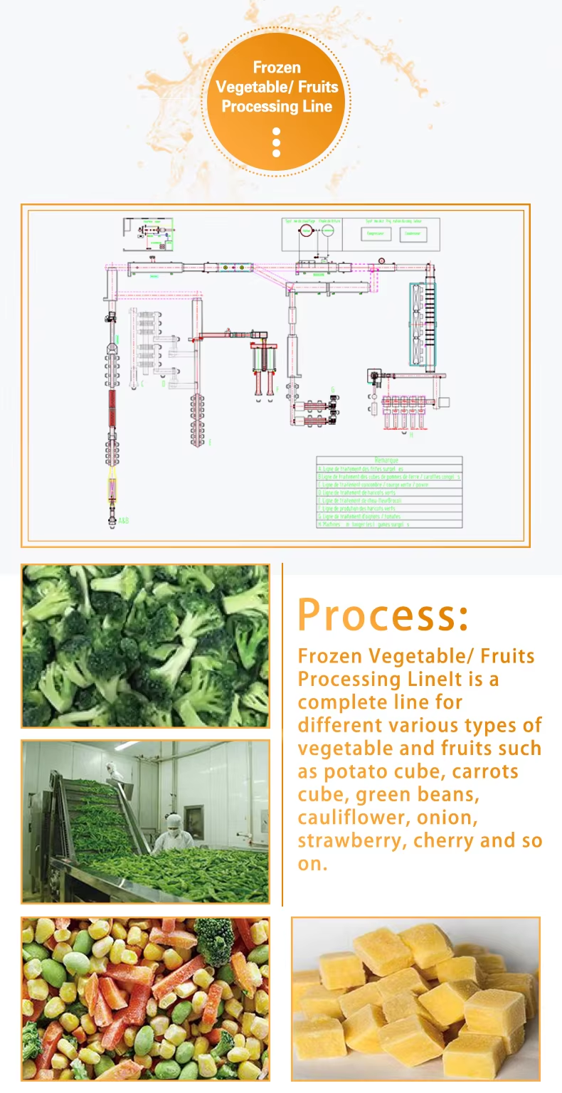 1725946694931 1725946694931