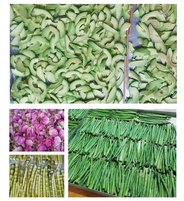 Assorted freeze - dried foods Razna zamrznuta - sušena hrana