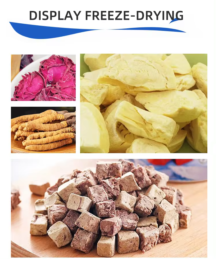 Freeze - dried food display Zaslon za zamrznutu sušenu hranu