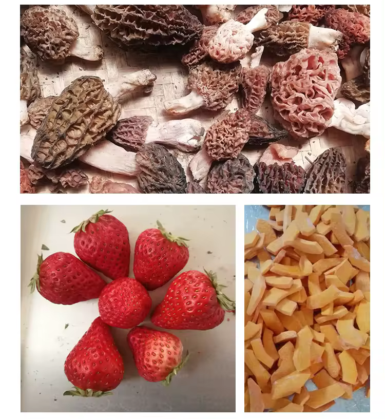 Different freeze - dried products Različiti proizvodi osušeni smrzavanjem