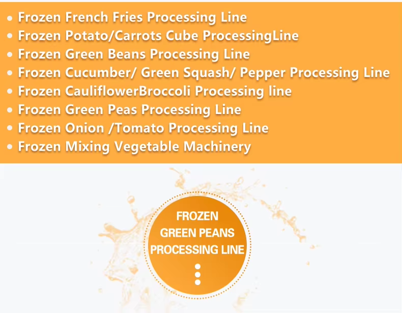 1725946637652 1725946637652