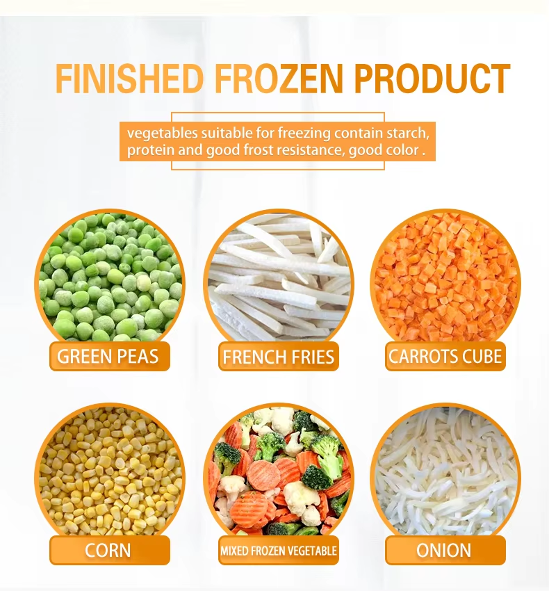 1725936736386 1725936736386