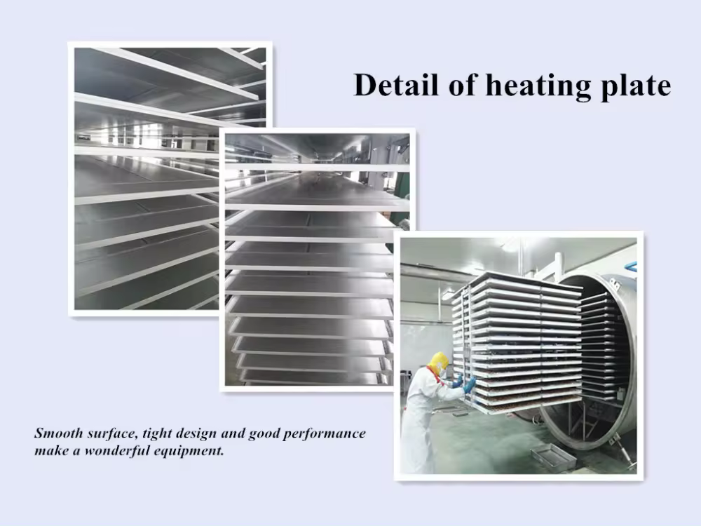 Freeze-drying equipment for commercial use