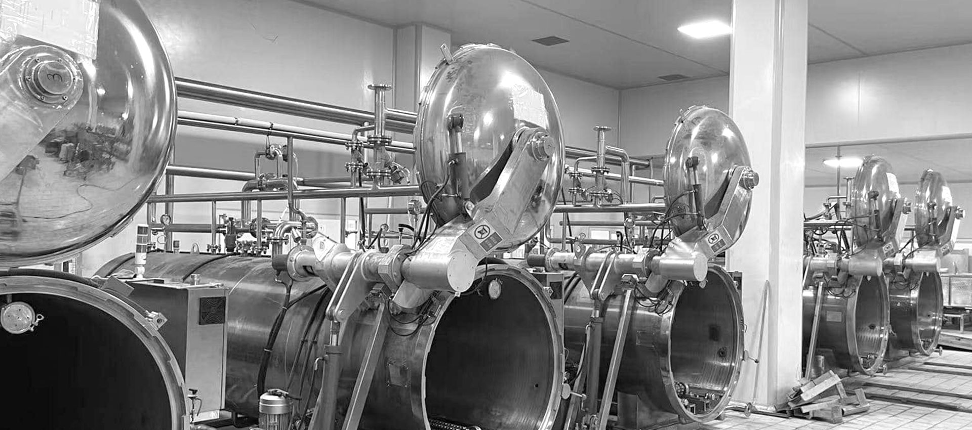 Food Processing Equipment Manufacturer