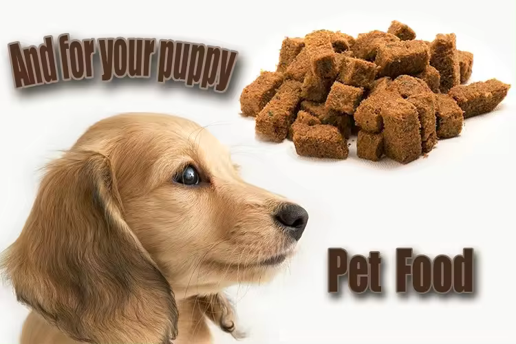 pet food