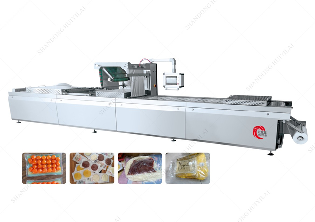 Large Intelligent Manipulator Stretch Film Vacuum Packaging Machine