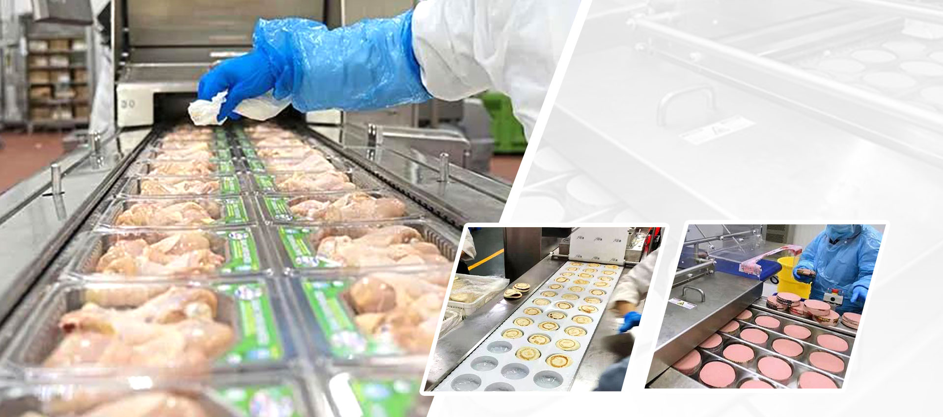 vacuum packing machine, Food Processing Equipment Manufacturer