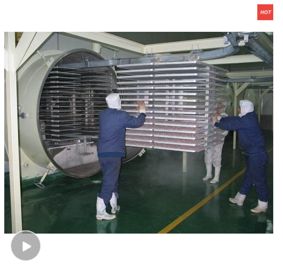 Large-Scale Industrial Food Freeze Dryer for Fruit & Vegetables