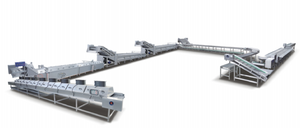 Complete Sweet Corn Processing Line for Washing Machine Blanching Machine Drying Process