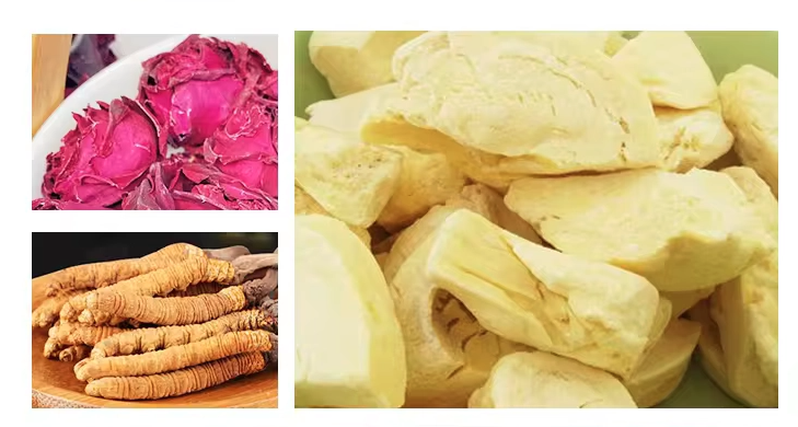 Applications of Vacuum Lyophilizers