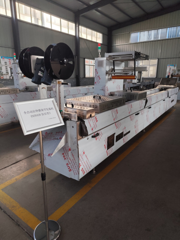 Industrial Automatic Dates Thermoforming Vacuum Packaging Machine Peeled Onion Vacuum Packing Machine