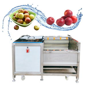 Commercial Vegetable Cleaning peeling Machine for Potato Carrots And Other Root Vegetables