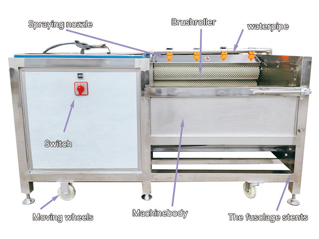 Root Vegetable Ginger Potato Carrot Cassave Peeler Potato Washing Peeling Machine Ginger Peeler Machine