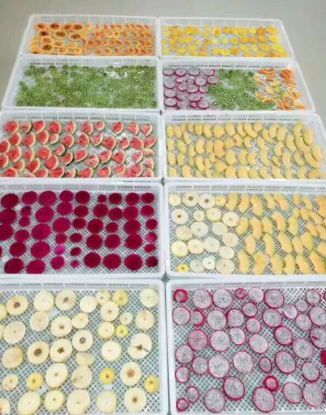 Hot Air Dryer For Food Fruit Hot Air Dryer For Food Fruit