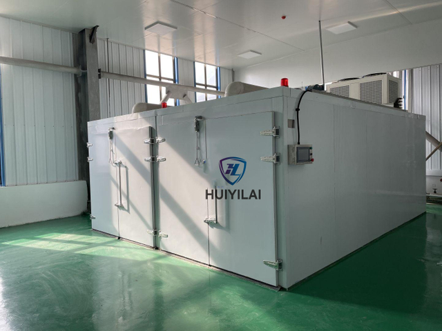 China Brand Commercial Fruit Vegetable Dry Machine Mango Tray Dehydrator Machine Cinnamon Drying Oven for Food
