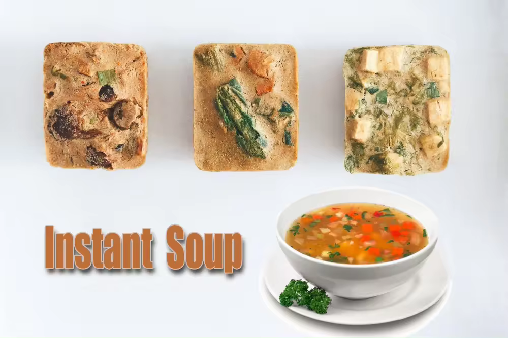 Large capacity vacuum freeze-drying equipment