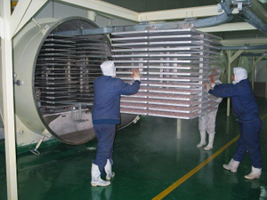 Industrial Large-scale Vacuum Fruit Food Freeze Dryer For Industrial Food Freeze Drying Process Machine