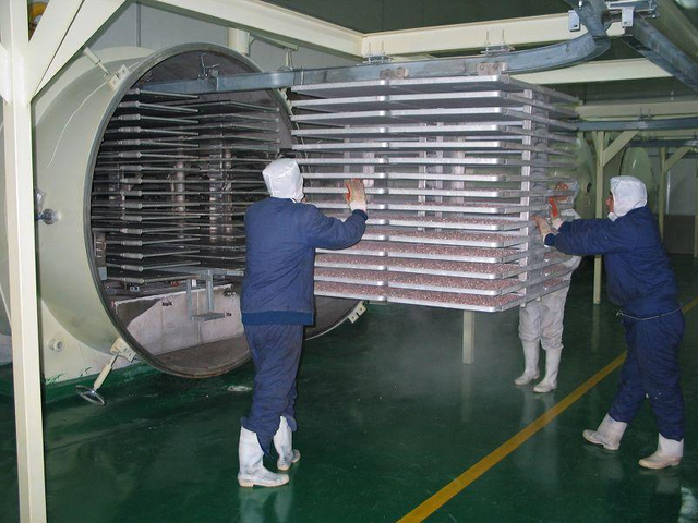 Industrial Large-scale Vacuum Fruit Food Freeze Dryer For Industrial Food Freeze Drying Process Machine
