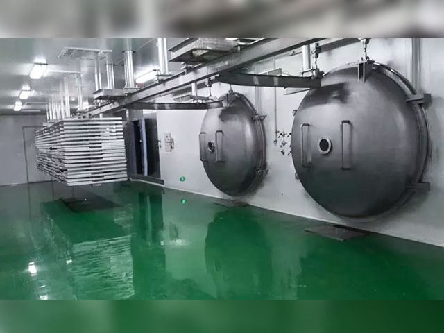 1500KG Hot Selling Freeze Drying Equipment Prices and Vacuum Food Freeze dryer shrimp iqf quick freezer machine