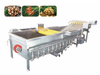 Automatic Continuous Fruit Vegetable Bubble Washing Machine And Sorting Machine Vegetable Washing Machine