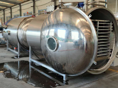 Vacuum Freeze-Dryer