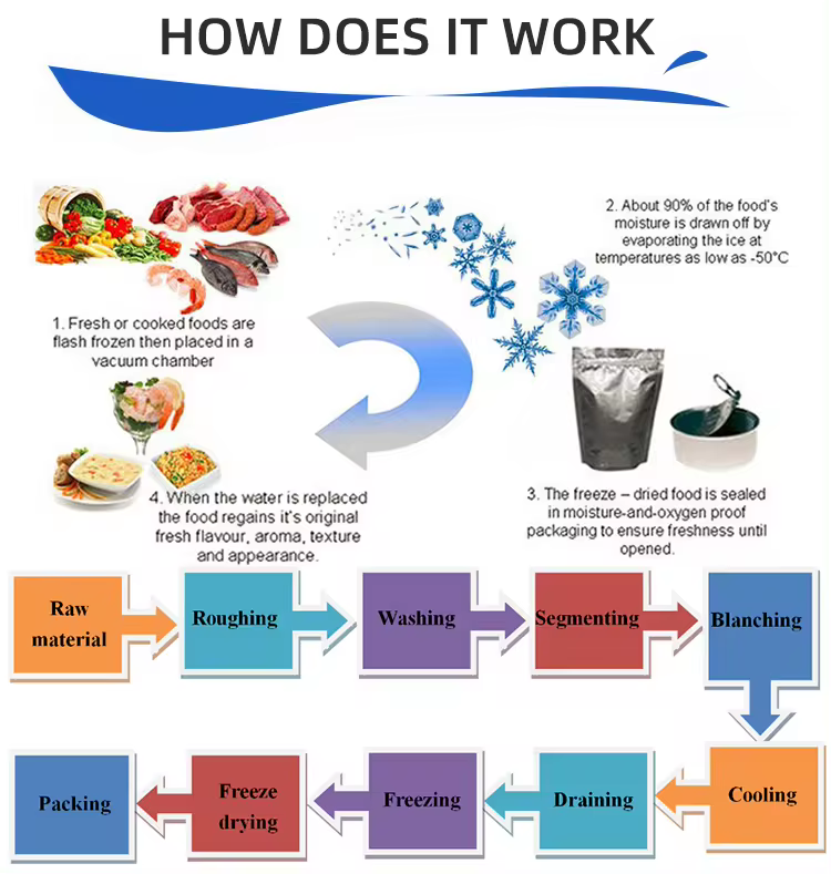 Industrial Vacuum Freeze-Drying Machine