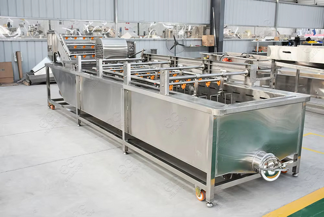 Fruit And Vegetable Cleaning And Drying Cherries Washing Machinery for Cleaning Mushroom