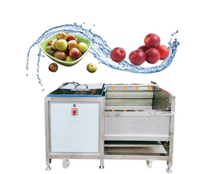 Food Washing Machine.png