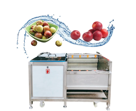 Food Washing Machine
