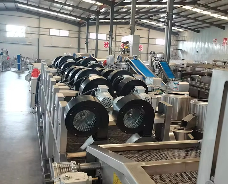 Tunnel Air Dry Type Fruit Dryer 