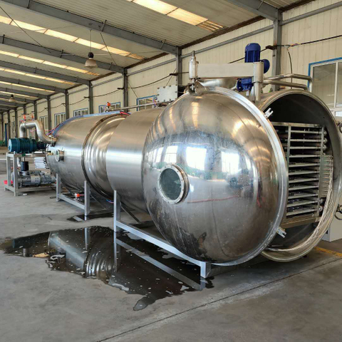 Large Vacuum Liofilizador Food Freeze Dryer Drying Machine Industrial Lyophilization Machine Equipment Malaysia Price