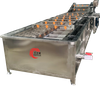 Automatic Continuous Fruit Vegetable Bubble Washing Machine And Sorting Machine Vegetable Washing Machine