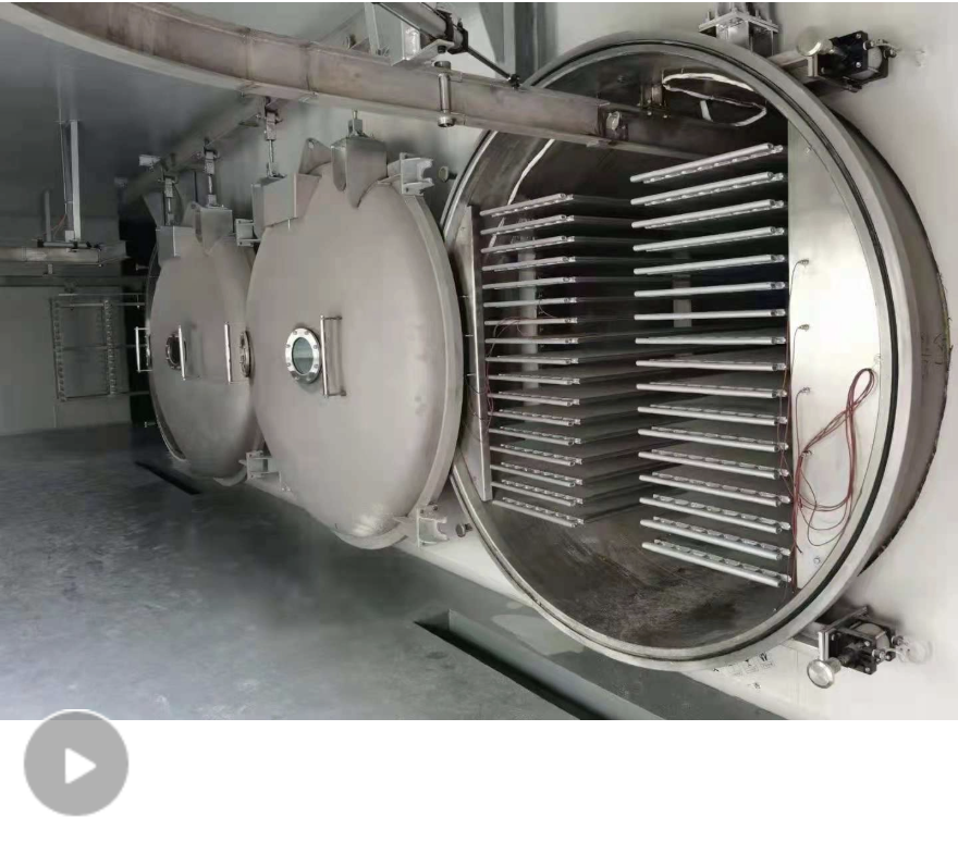 Large-Scale Food Freeze Dryer for Sale