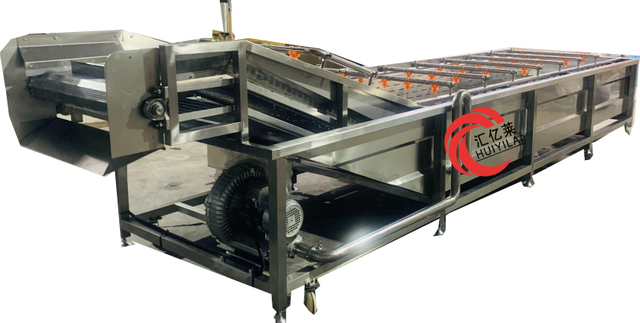 Fruit And Vegetable Cleaning And Drying Cherries Washing Machinery for Cleaning Mushroom