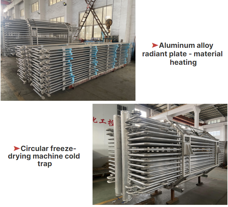 Freeze-drying equipment for commercial use