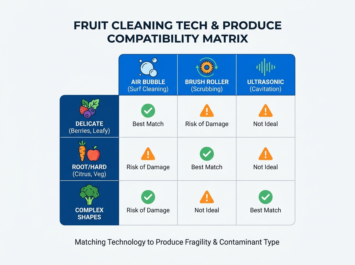Commercial fruit cleaning equipment